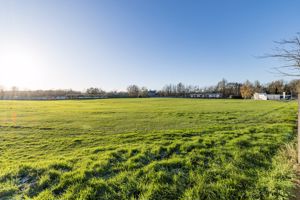 Rear- click for photo gallery